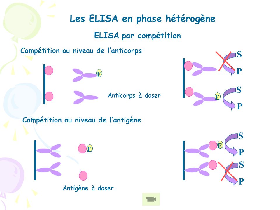 Les ELISA en phase hétérogène