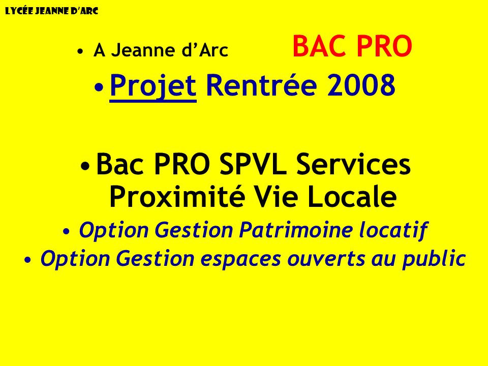 Projet Rentrée 2008 Bac PRO SPVL Services Proximité Vie Locale