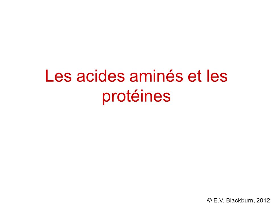 Les acides aminés et les protéines