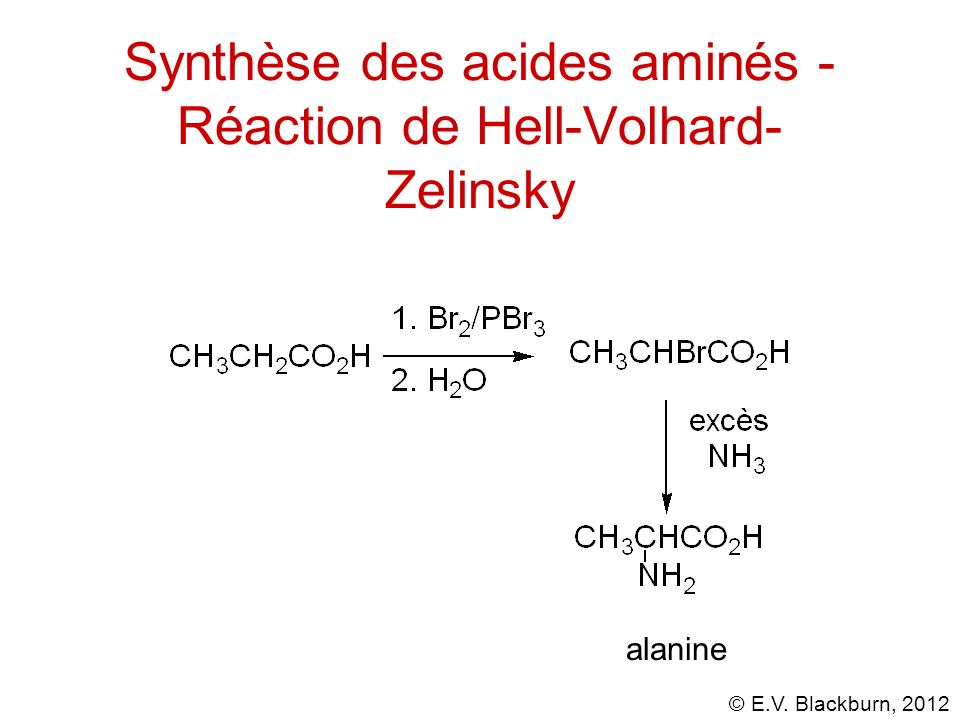 Synthèse des acides aminés - Réaction de Hell-Volhard-Zelinsky