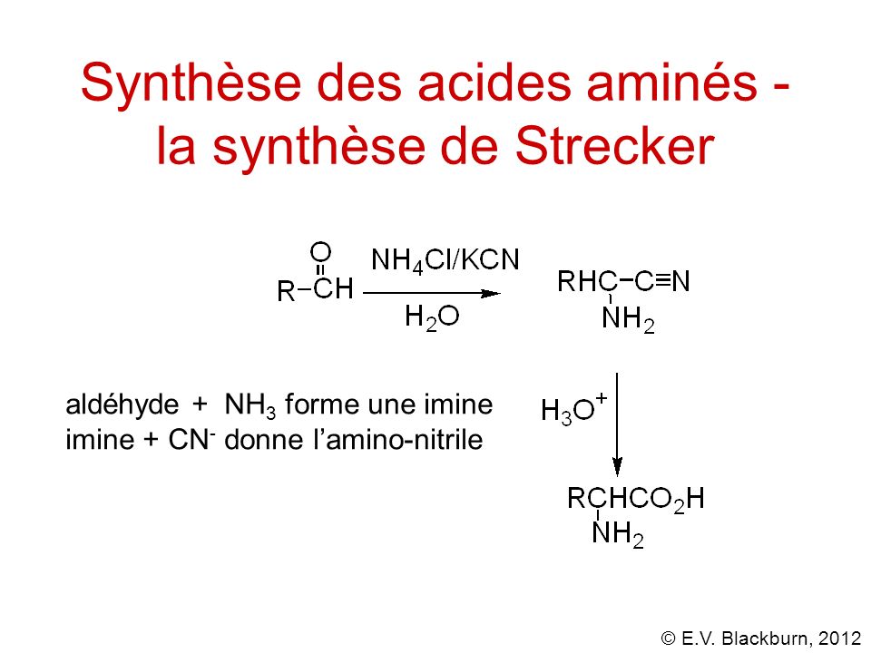Synthèse des acides aminés - la synthèse de Strecker