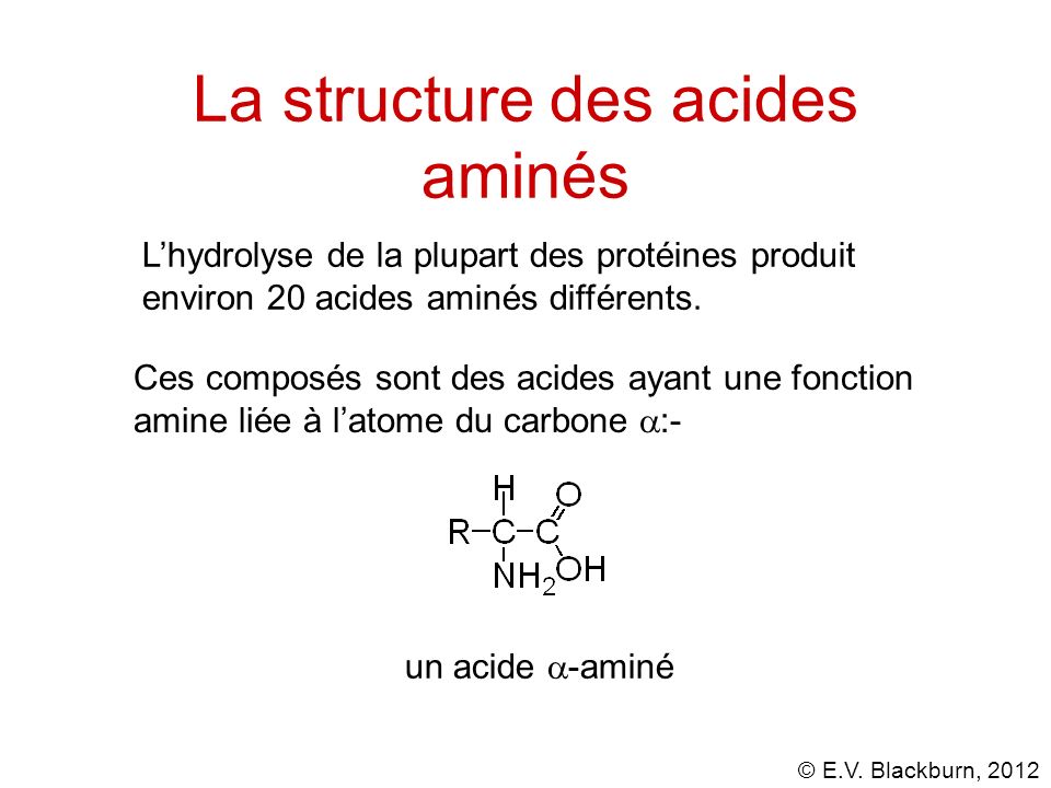 La structure des acides aminés