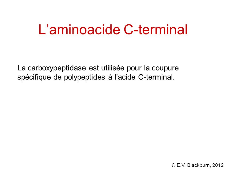 L’aminoacide C-terminal
