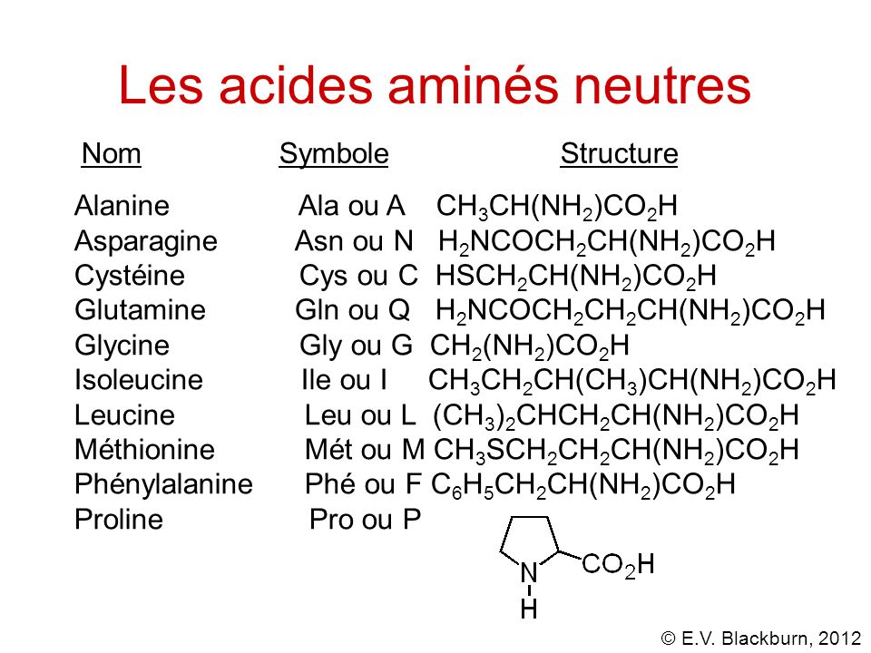 Les acides aminés neutres