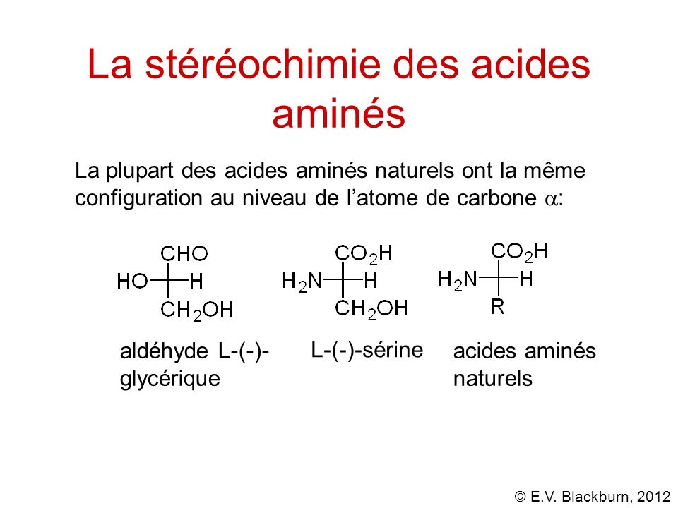 La stéréochimie des acides aminés
