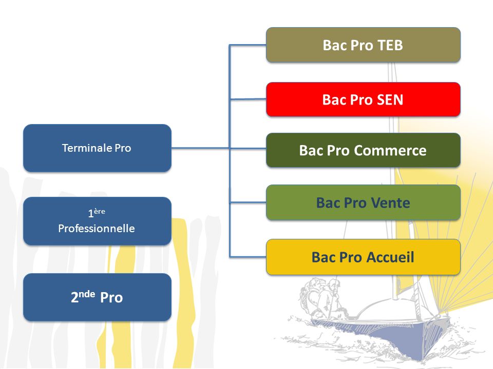 Bac Pro TEB Bac Pro SEN Bac Pro Commerce Bac Pro Vente Bac Pro Accueil