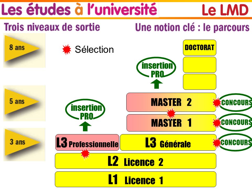 L3 Professionnelle L3 Générale L2 Licence 2 L1 Licence 1 Sélection