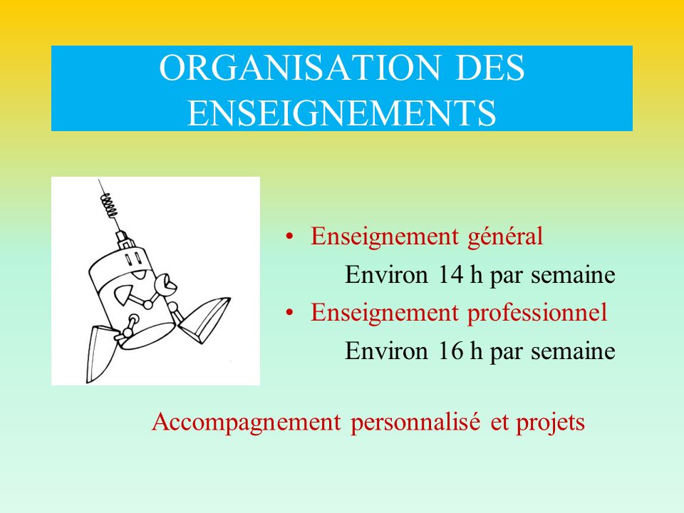 ORGANISATION DES ENSEIGNEMENTS