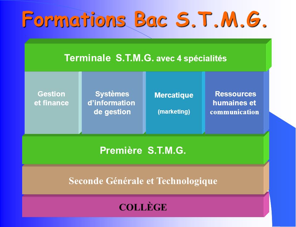 Formations Bac S.T.M.G. Terminale S.T.M.G. avec 4 spécialités
