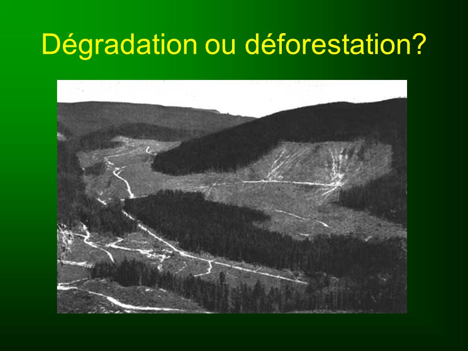 Dégradation ou déforestation