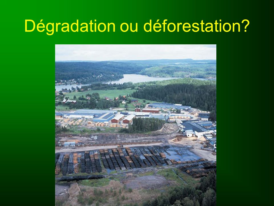 Dégradation ou déforestation