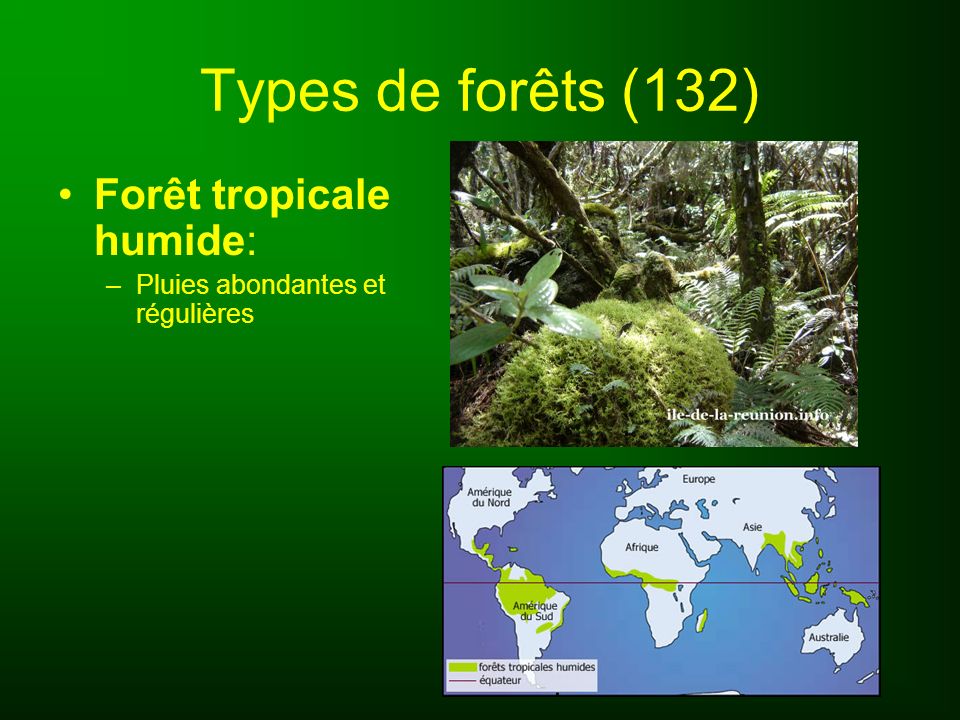 Types de forêts (132) Forêt tropicale humide: