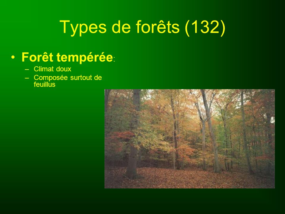 Types de forêts (132) Forêt tempérée: Climat doux