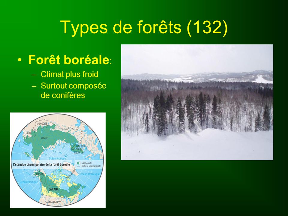 Types de forêts (132) Forêt boréale: Climat plus froid