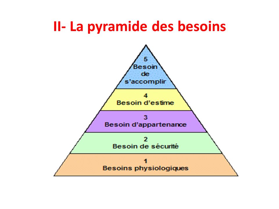 II- La pyramide des besoins
