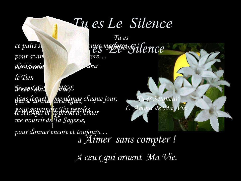 Tu es Le Silence Tu es Le Silence A ceux qui ornent Ma Vie. Tu es