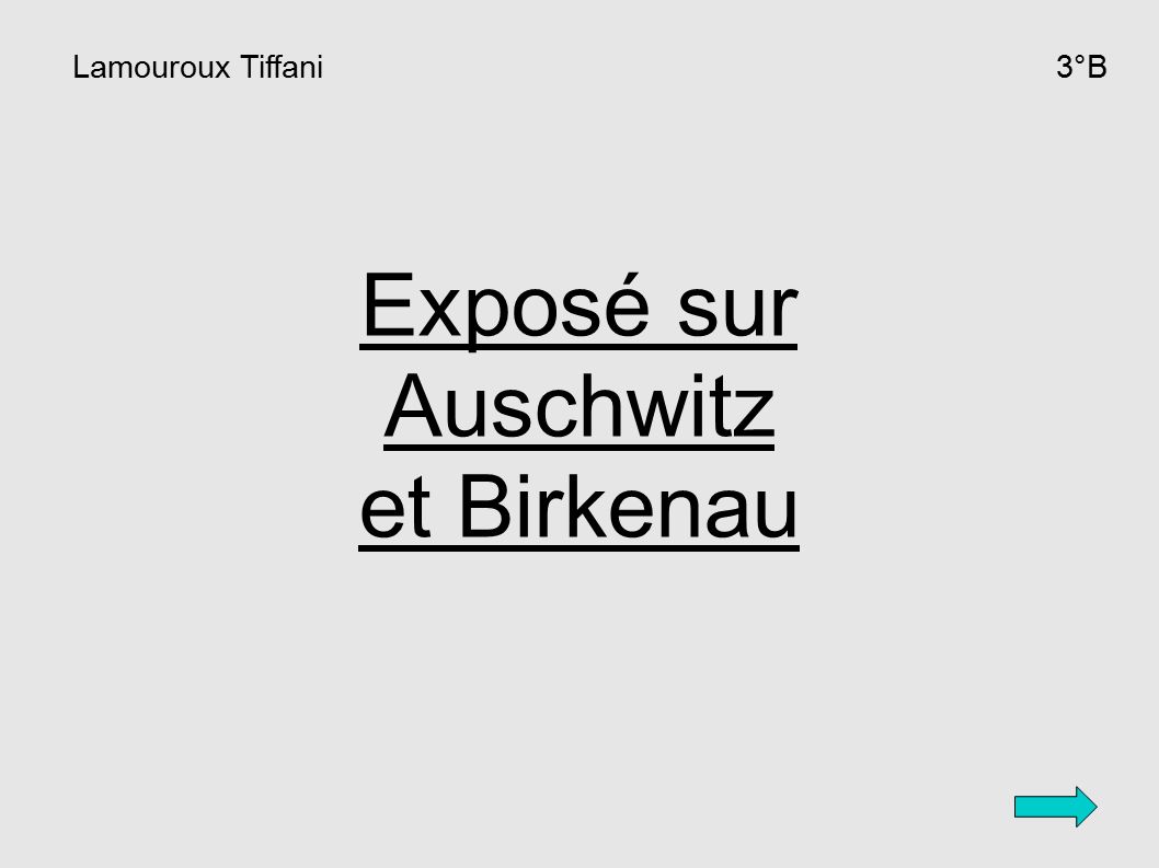 Lamouroux Tiffani 3°B Exposé sur Auschwitz et Birkenau