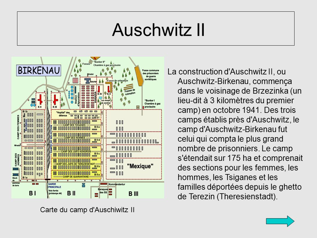 Carte du camp d Auschiwitz II