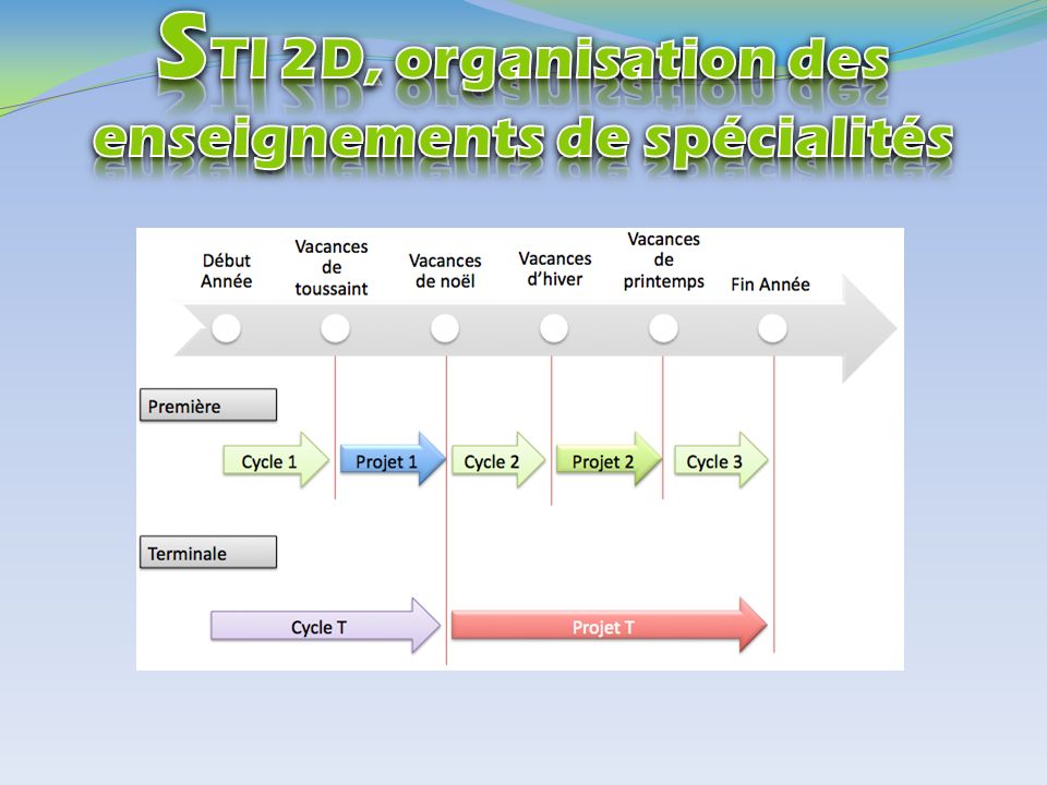 STI 2D, organisation des enseignements de spécialités