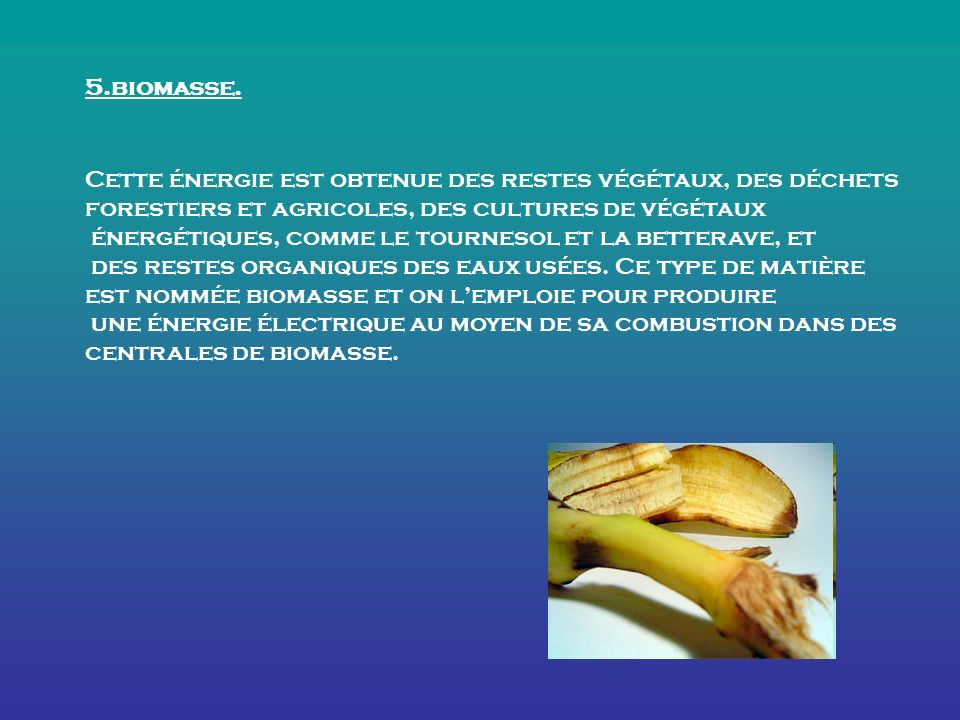 5.biomasse.