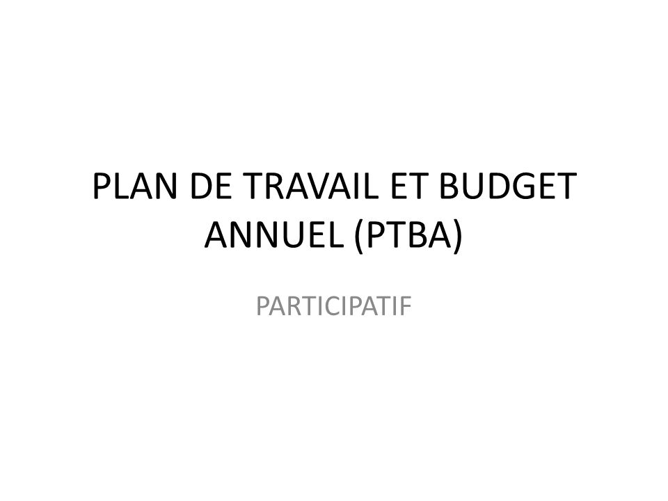 PLAN DE TRAVAIL ET BUDGET ANNUEL (PTBA)