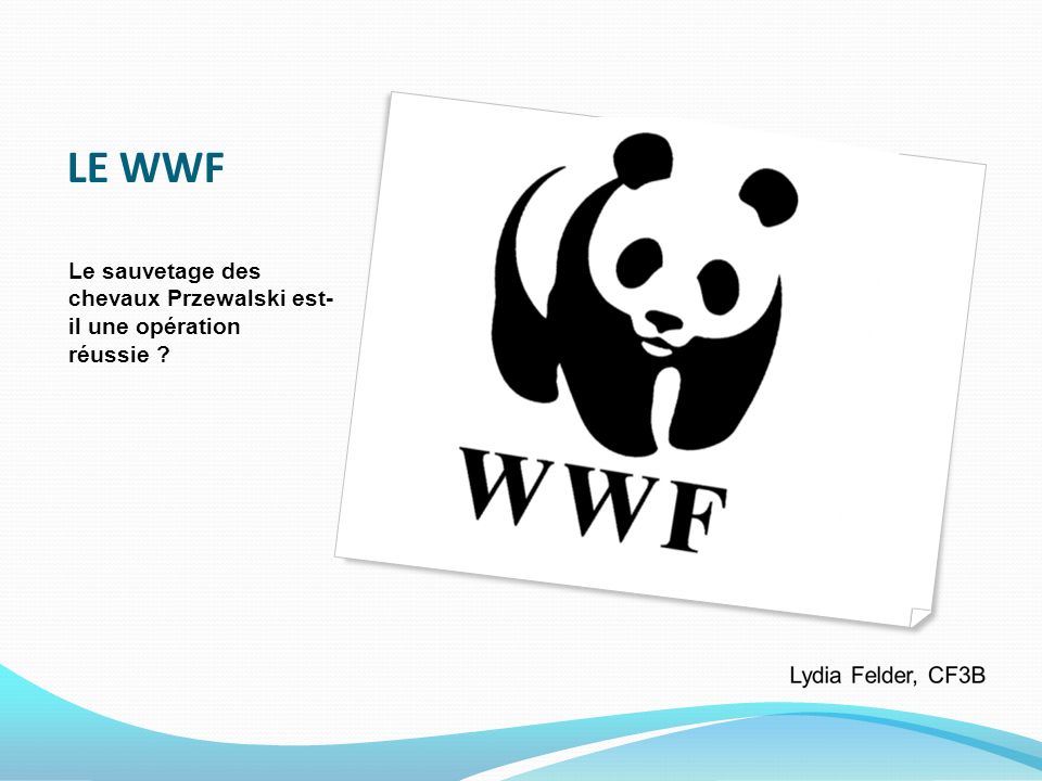 LE WWF Le sauvetage des chevaux Przewalski est- il une opération réussie