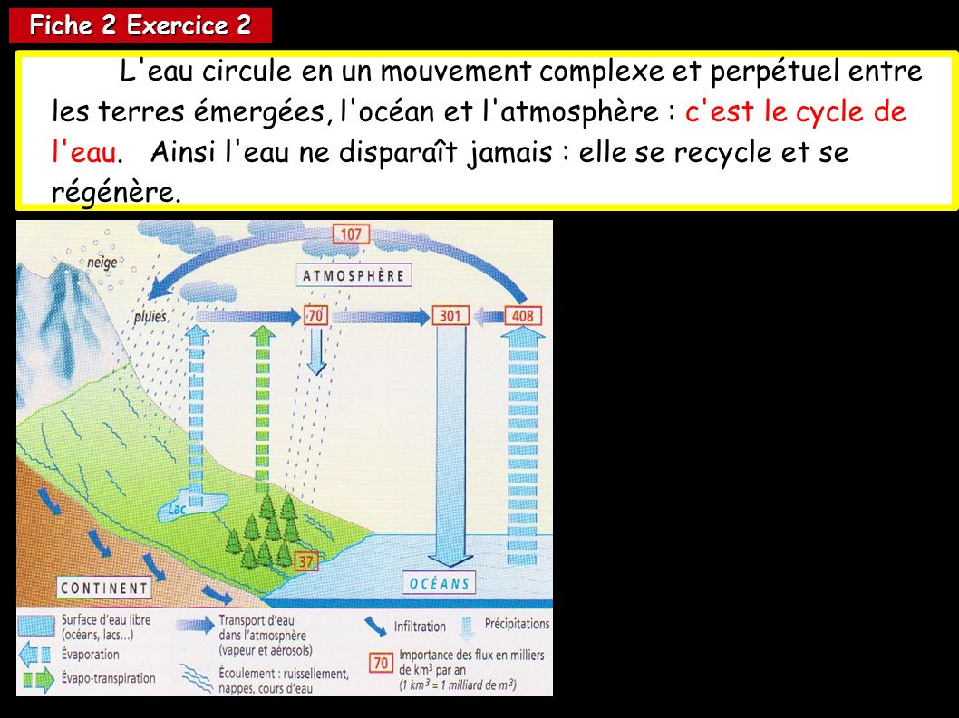 Fiche 2 Exercice 2