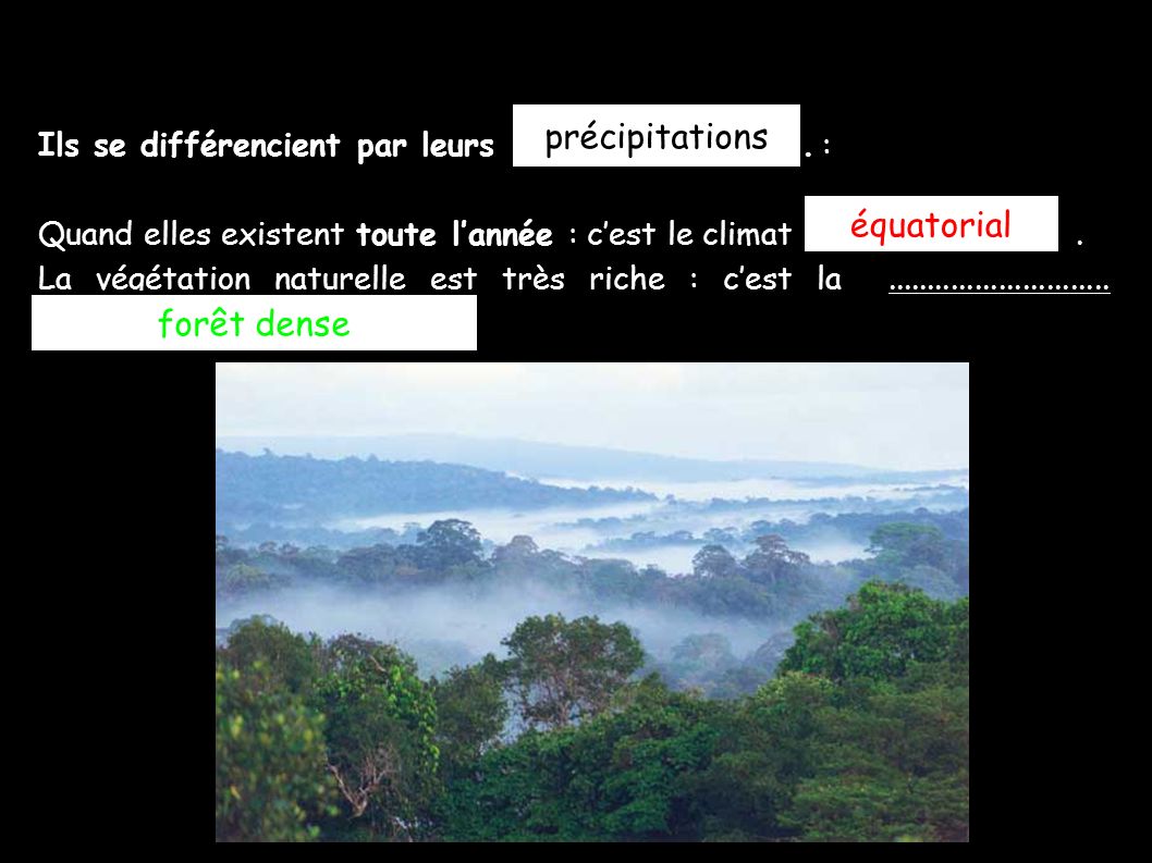précipitations équatorial forêt dense