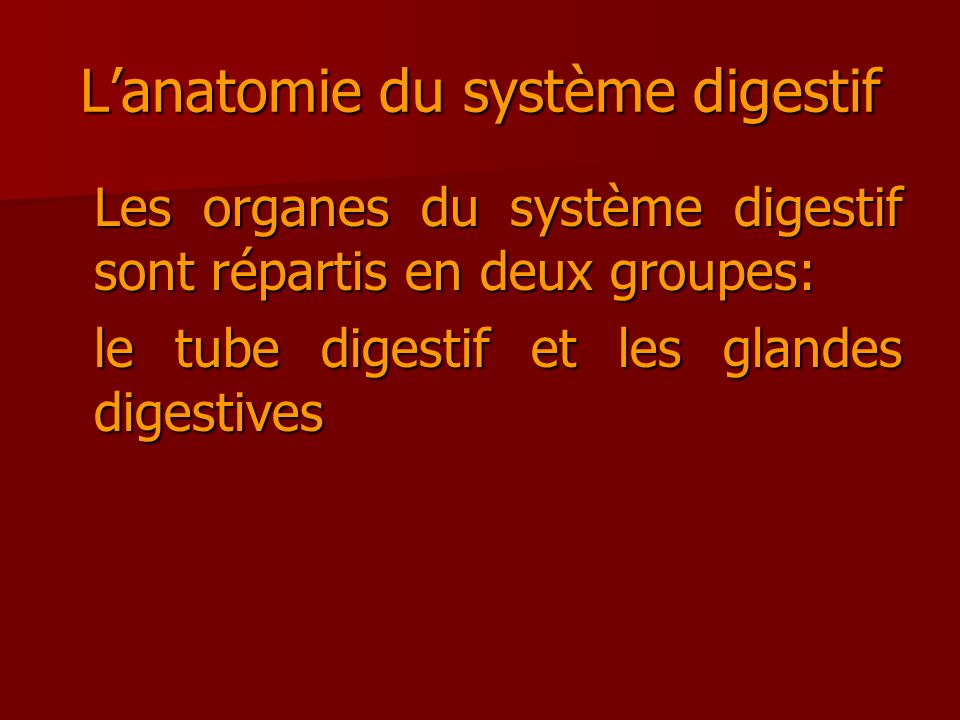 L’anatomie du système digestif