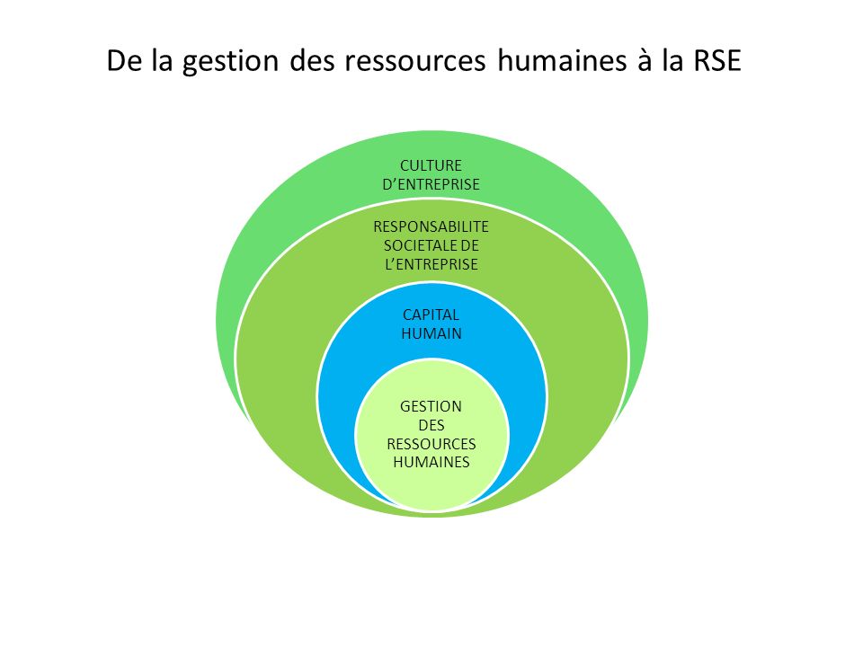 De la gestion des ressources humaines à la RSE
