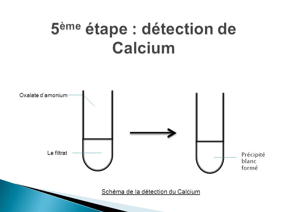 5ème étape : détection de Calcium