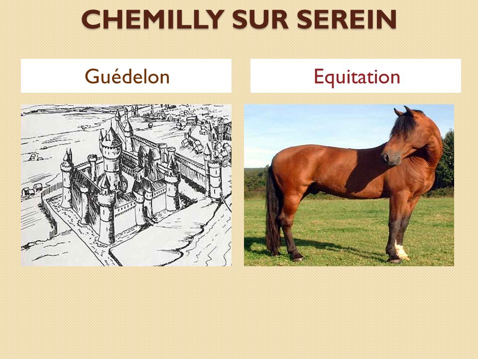 CHEMILLY SUR SEREIN Guédelon Equitation