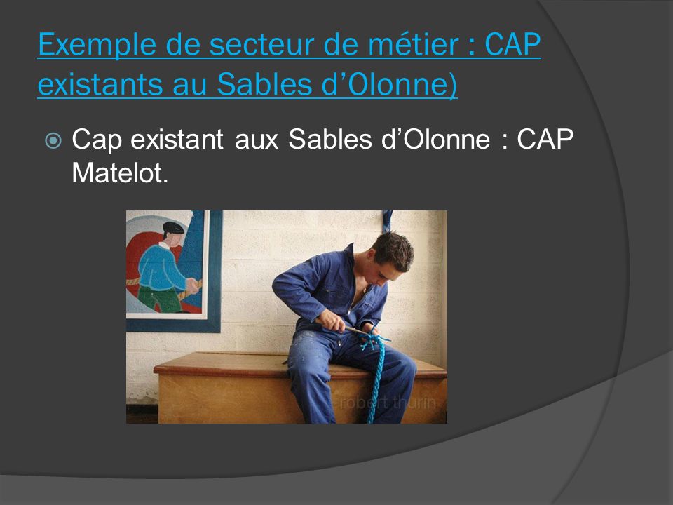 Exemple de secteur de métier : CAP existants au Sables d’Olonne)