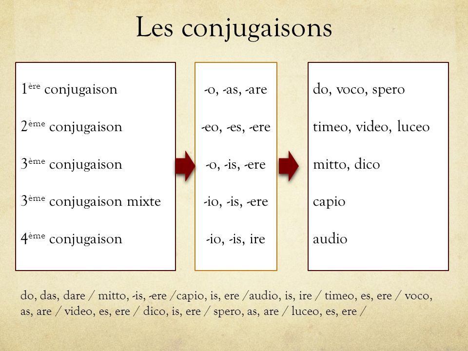 Latin Exercons Nous A La Conjugaison Ppt Video Online Telecharger