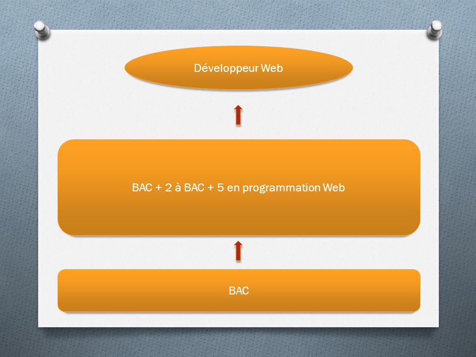 BAC + 2 à BAC + 5 en programmation Web