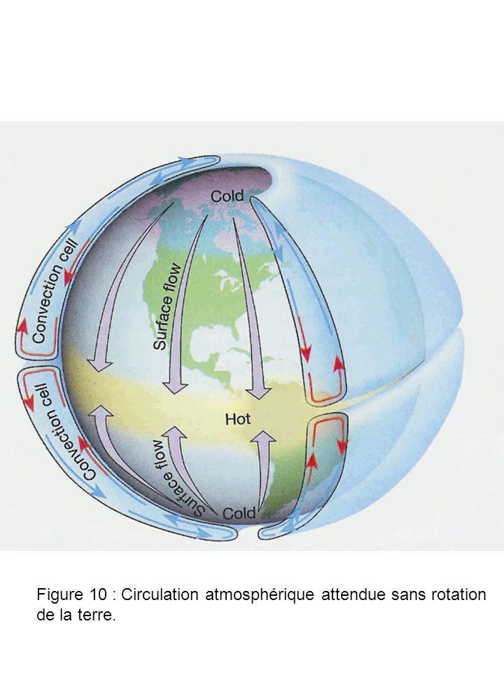 Figure 10 : Circulation atmosphérique attendue sans rotation de la terre.