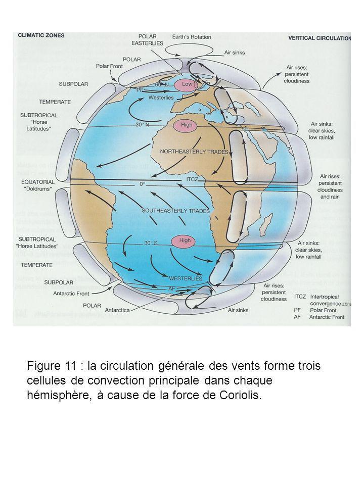 Figure 11 : la circulation générale des vents forme trois cellules de convection principale dans chaque hémisphère, à cause de la force de Coriolis.