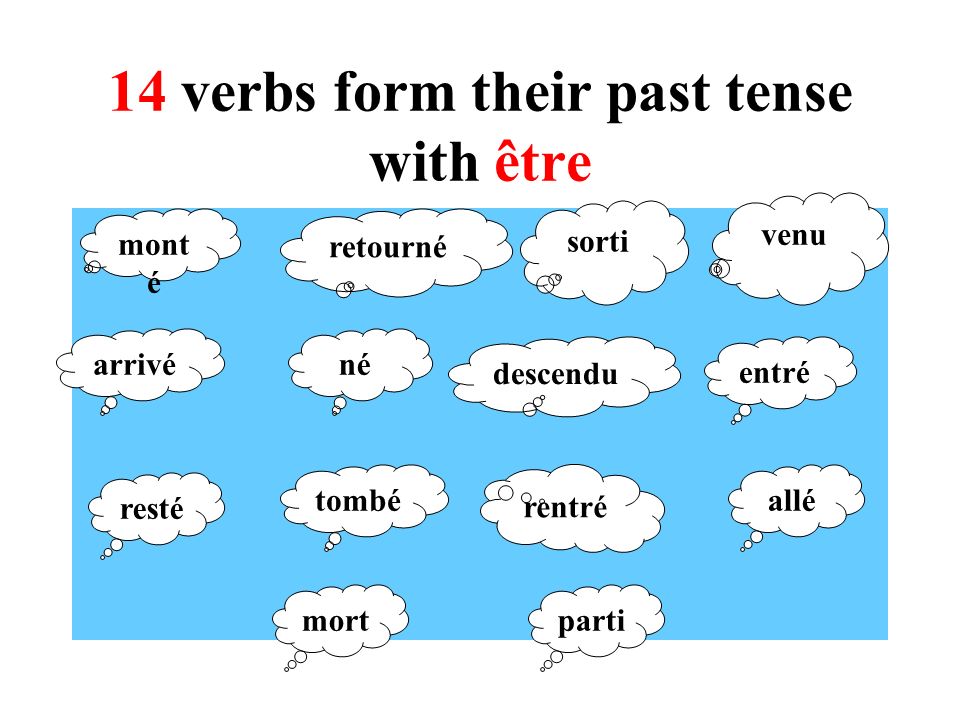 14 verbs form their past tense with être