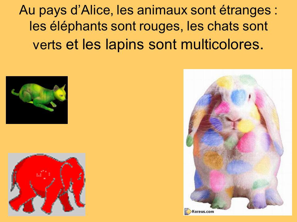 Au pays d’Alice, les animaux sont étranges : les éléphants sont rouges, les chats sont verts et les lapins sont multicolores.