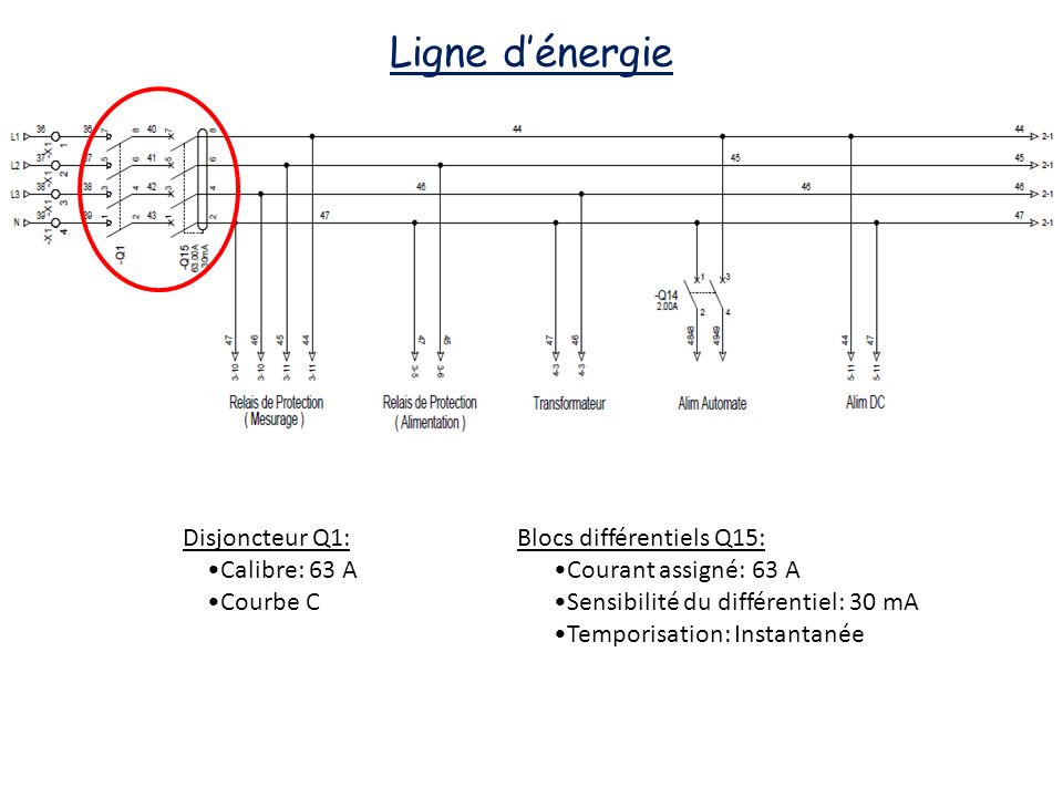 Ligne d’énergie Disjoncteur Q1: •Calibre: 63 A •Courbe C
