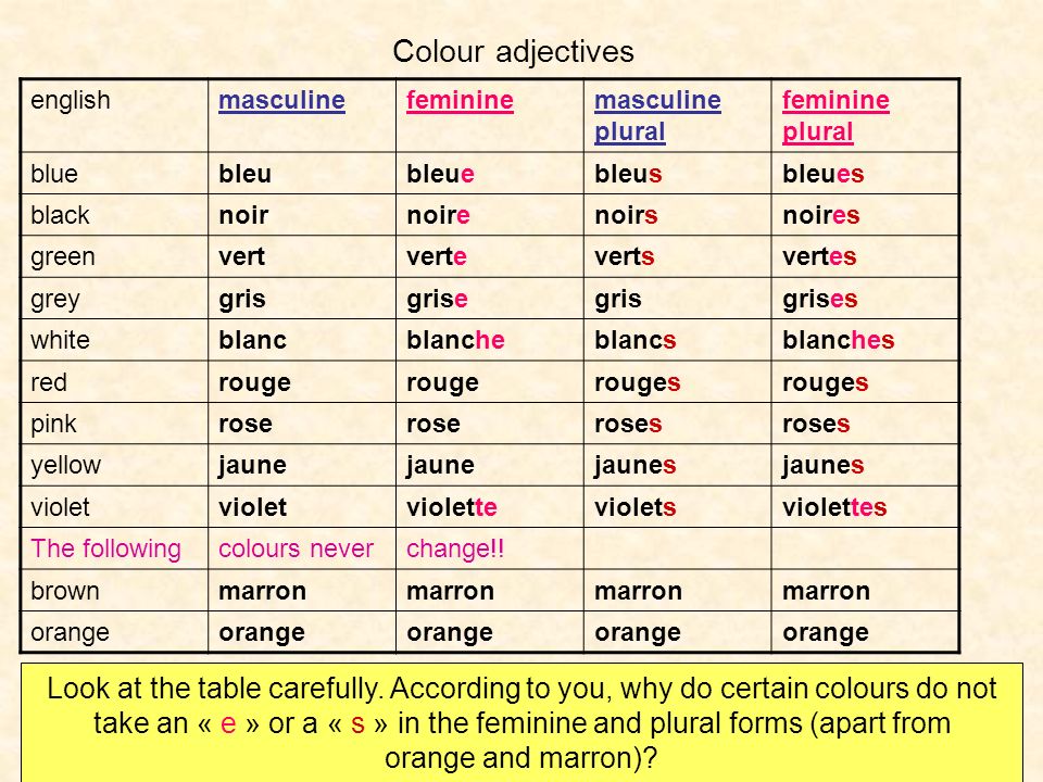 take an « e » or a « s » in the feminine and plural forms (apart from