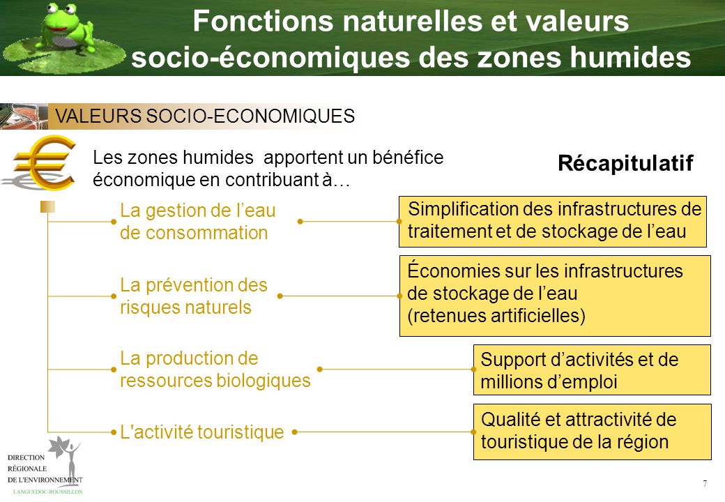 Fonctions naturelles et valeurs socio-économiques des zones humides
