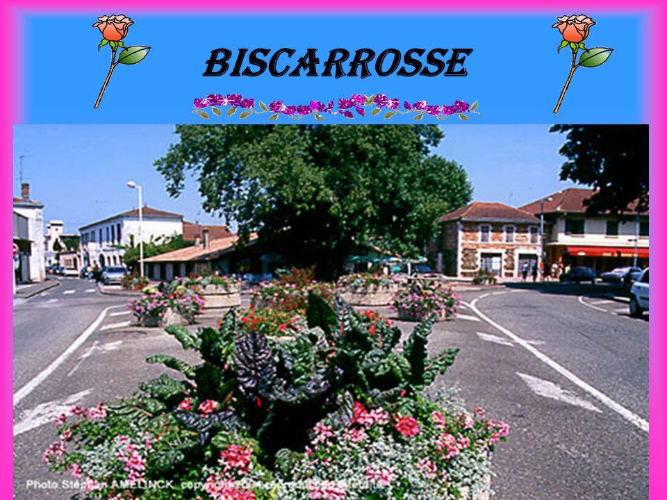 Biscarrosse