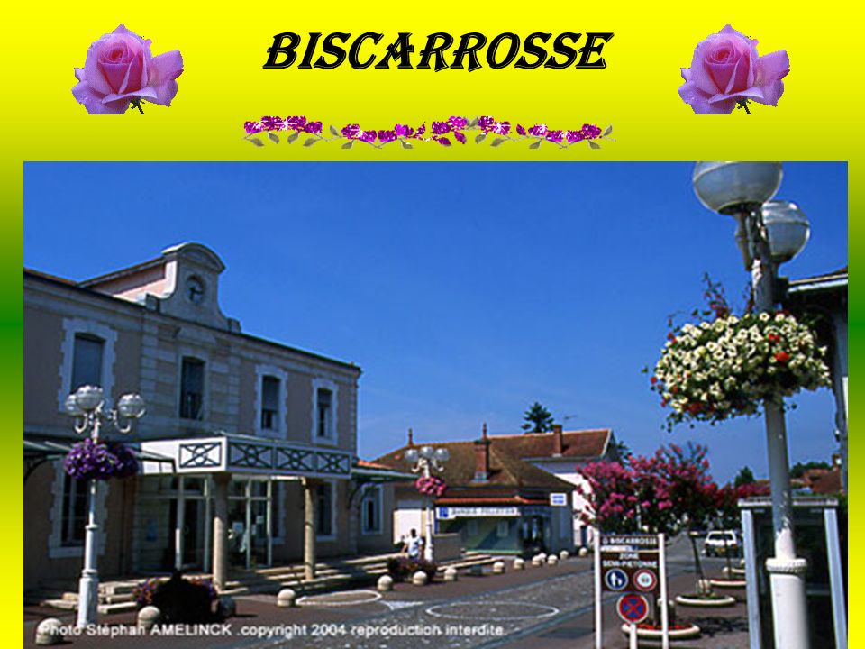 Biscarrosse