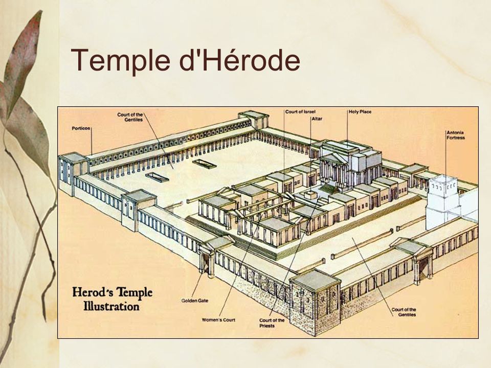 Temple d Hérode