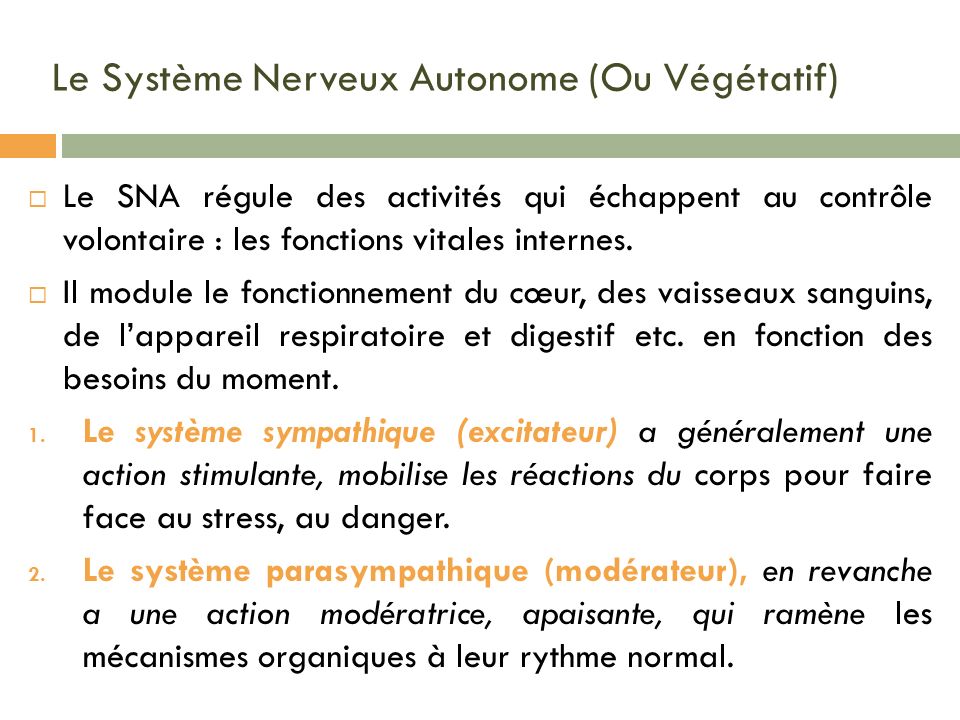 Le Système Nerveux Autonome (Ou Végétatif)