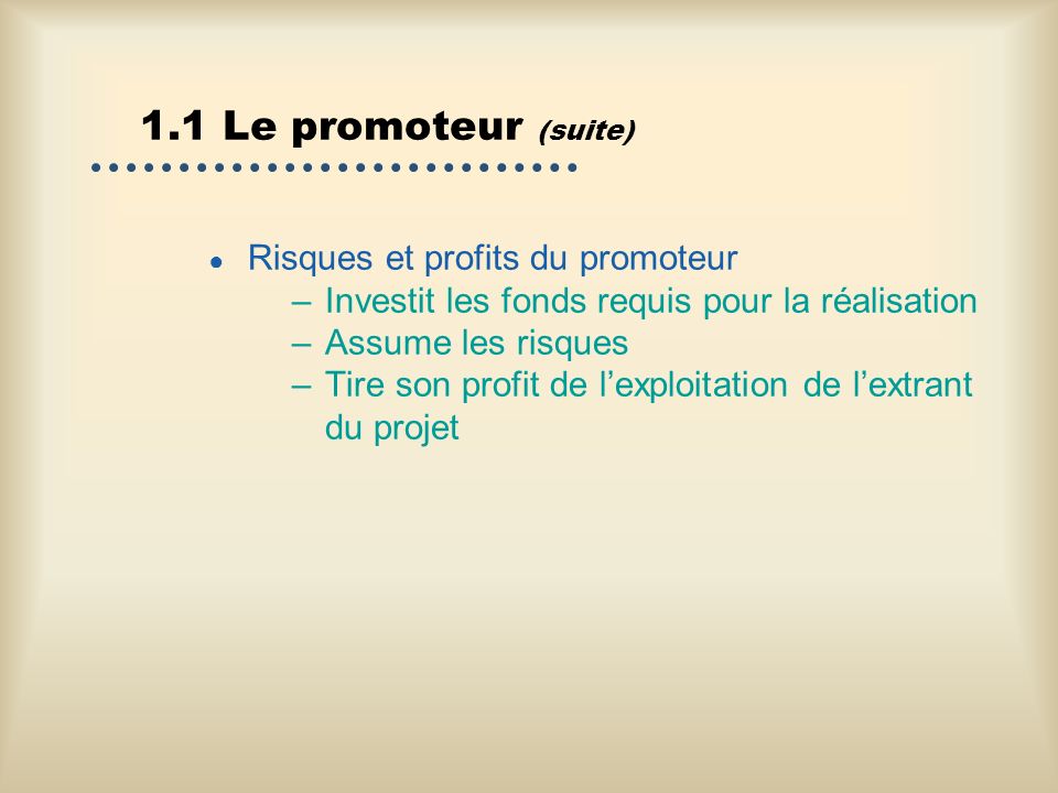 1.1 Le promoteur (suite) Risques et profits du promoteur