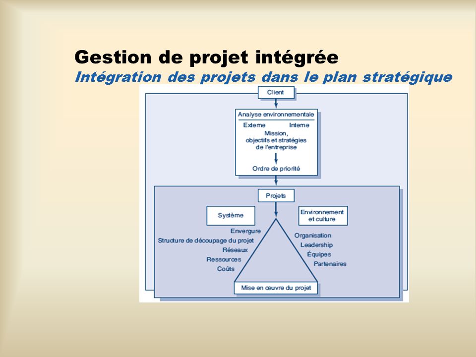 Gestion de projet intégrée Intégration des projets dans le plan stratégique