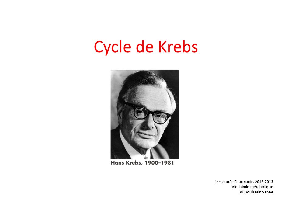 Cycle de Krebs 1ière année Pharmacie, Biochimie métabolique
