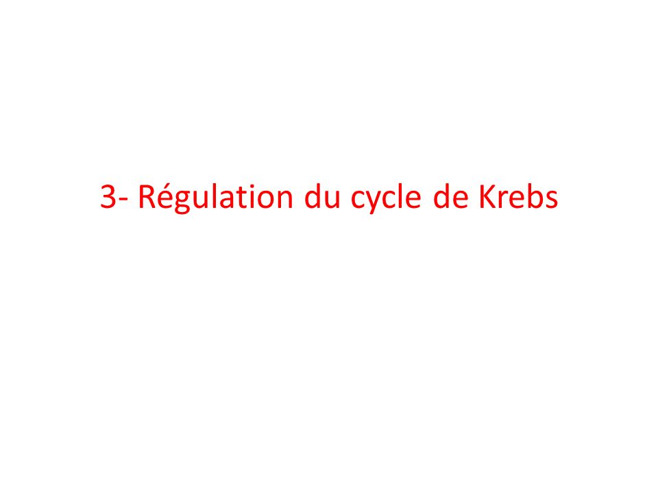 3- Régulation du cycle de Krebs